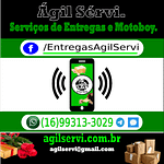 Ágil Servi categorias de entregas e serviços oferecidos pela Ágil Servi empresa de motoboy para entregas de documentos e encomendas.